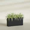 Hollywood Extra Large Narrow Rectangle Fiberglass Planter - 48 in x 12 in x 24 in - Matte Black - Matte Black,48 in x 12 in x 24 in