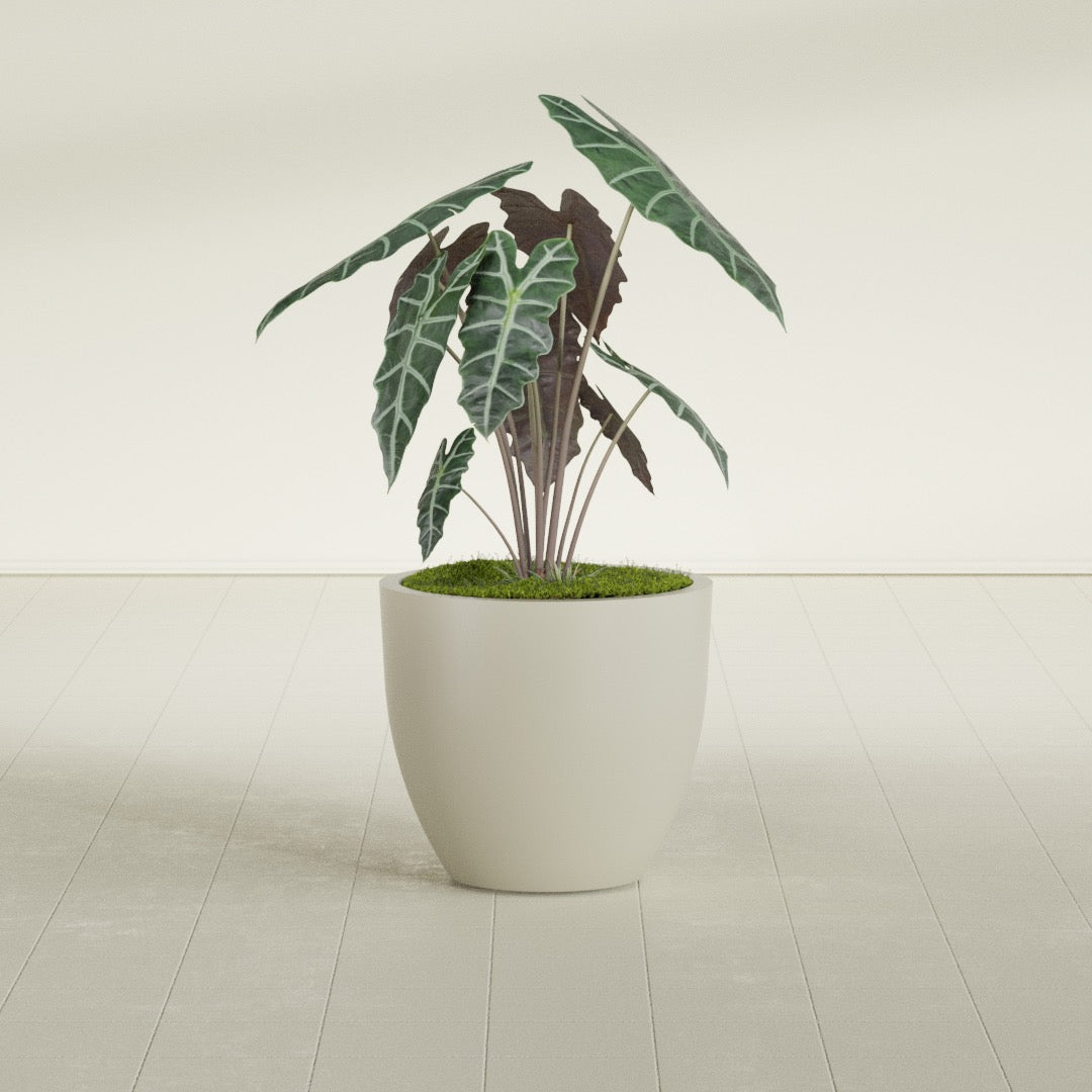 Wannsee Medium Round Fiberglass Planter - 27 in x 27 in x 24 in - Satin Beige - Satin Beige,27 in x 27 in x 24 in