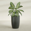 Lisbon Large Round Fiberglass Planter - 24 in x 24 in x 36 in - Matte Charcoal - Matte Charcoal,24 in x 24 in x 36 in
