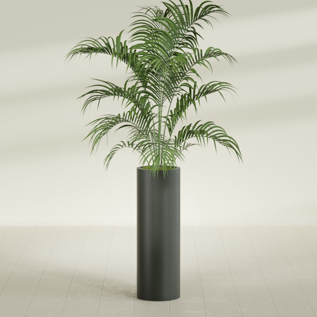 Corry Large Tall Cylinder Fiberglass Planter - 12 in x 12 in x 36 in - Matte Charcoal - Matte Charcoal,30 in x 30 in x 32 in