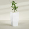 Toulan Extra Large Tall Tapered Square Fiberglass Planter - 28 in x 28 in x 60 in - Gloss White - Gloss White,28 in x 28 in x 60 in
