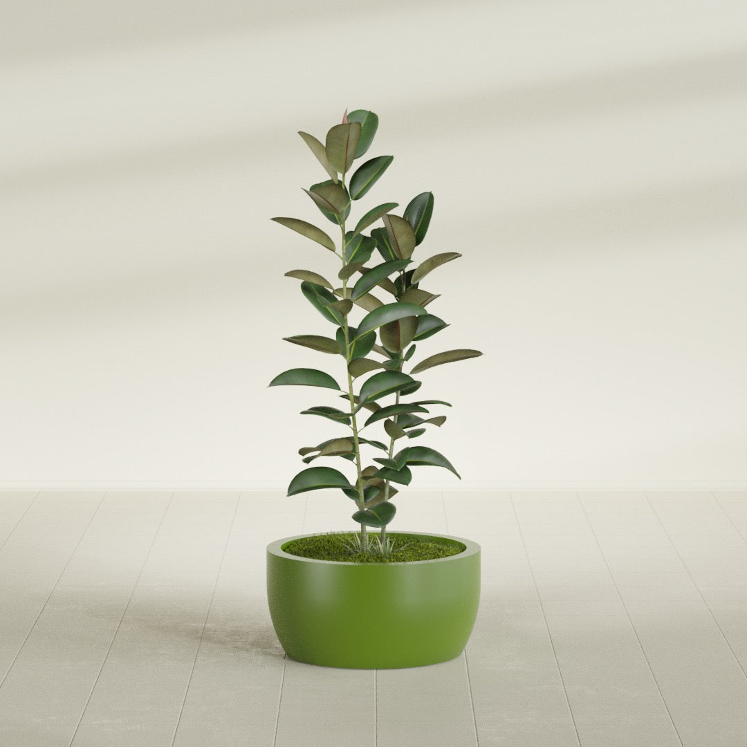 Casablanca Medium Round Low Bowl Fiberglass Planter - 24 in x 24 in x 12 in - Satin Green - Satin Green,24 in x 24 in x 12 in