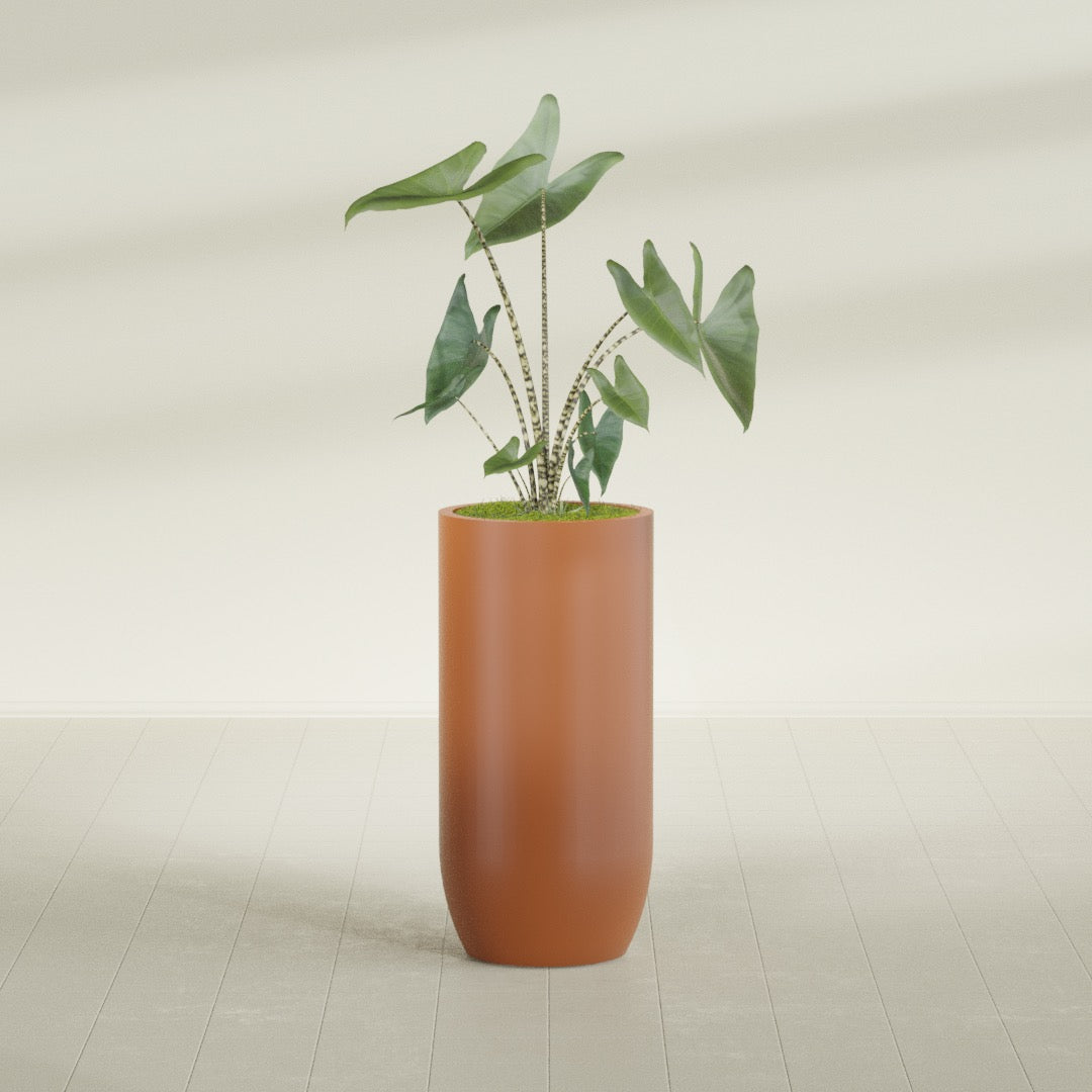 Saint Tropez Extra Large Tall Round Fiberglass Planter - 24 in x 24 in x 50 in - Matte Terracotta - Matte Terracotta,24 in x 24 in x 50 in