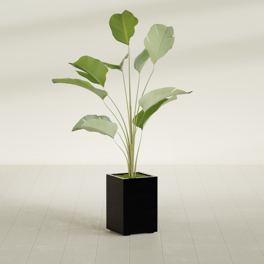 Tolga Medium Rectangle Fiberglass Planter - 16 in x 16 in x 24 in - Gloss Black - Gloss Black,16 in x 16 in x 24 in