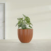 Santa Barbara Medium Round Fiberglass Planter - 23 in x 23 in x 20.3 in - Matte Terracotta - Matte Terracotta,23 in x 23 in x 20 in