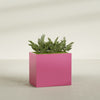 Brisbane Large Rectangle Fiberglass Planter - 36 in x 24 in x 32 in - Gloss Pink Violet - Gloss Pink Violet,36 in x 24 in x 32 in