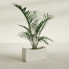 Seoul Large Curved Abstract Fiberglass Planter - 32 in x 12 in x 18 in - Satin Beige - Satin Beige,32 in x 12 in x 18 in