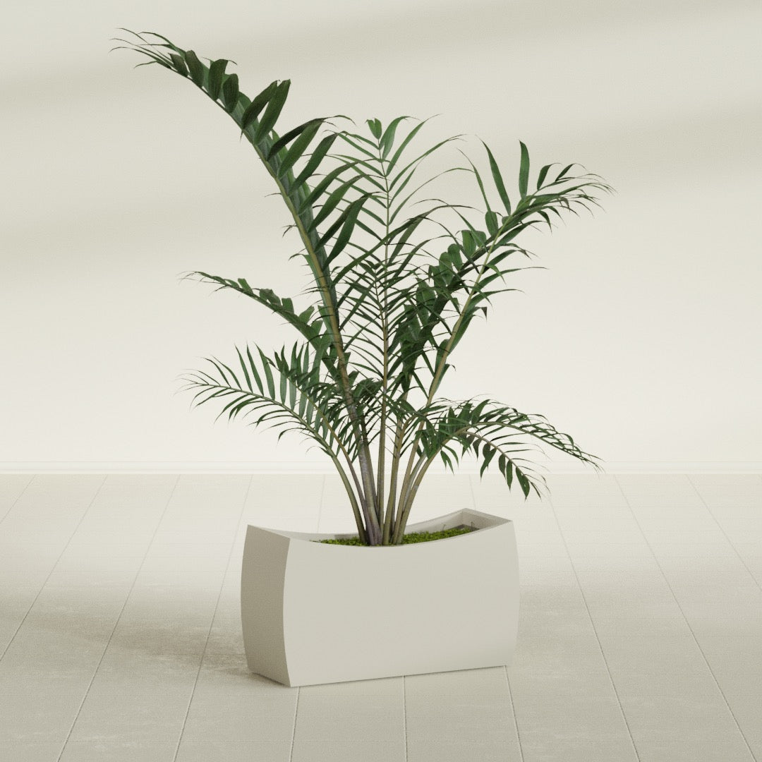 Seoul Large Curved Abstract Fiberglass Planter - 32 in x 12 in x 18 in - Satin Beige - Satin Beige,32 in x 12 in x 18 in