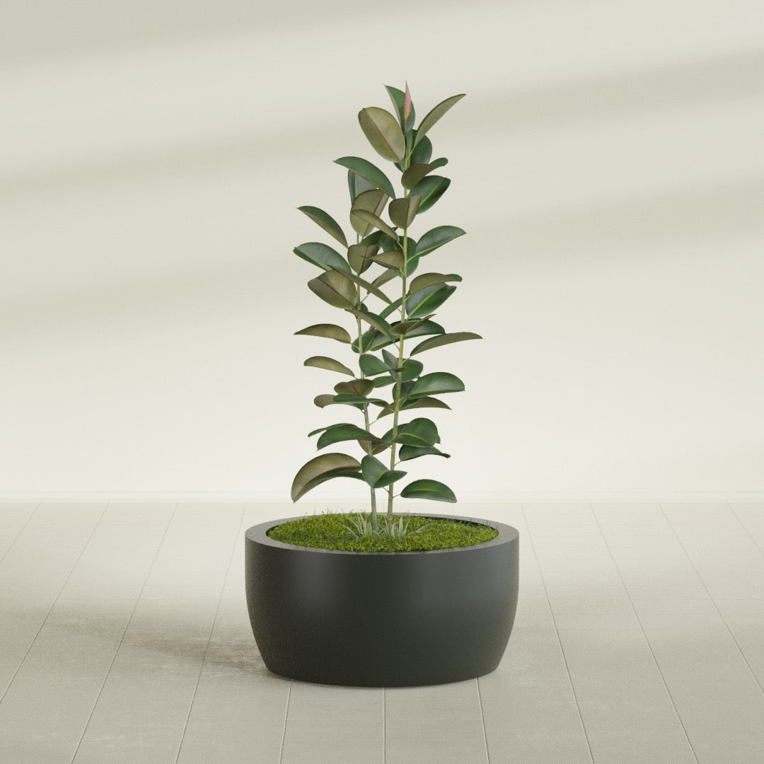 Casablanca Large Round Low Bowl Fiberglass Planter - 30 in x 30 in x 15 in - Matte Charcoal - Matte Charcoal,30 in x 30 in x 15 in