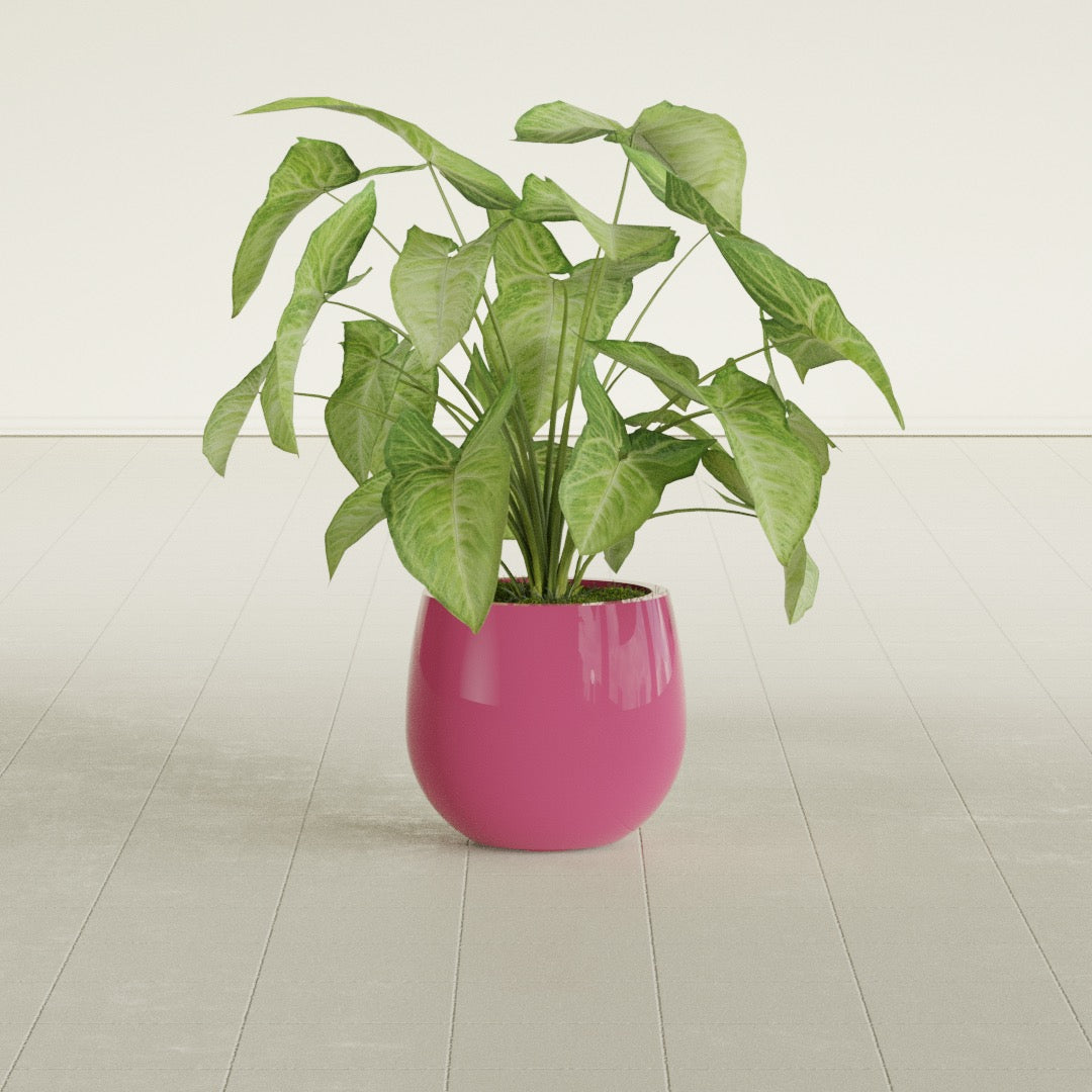 Westfield - 10in diam. x 9in - Gloss Pink Violet - Gloss Pink Violet,10 in diam. x 9 in H