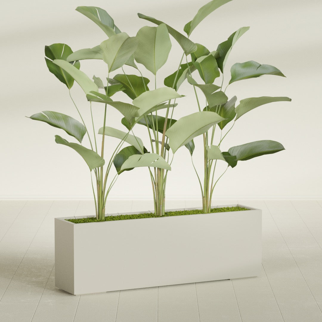 Tolga Extra Large Long Rectangle Fiberglass Planter - 72 in x 16 in x 24 in - Satin Beige - Satin Beige,72 in x 16 in x 24 in