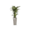 Rotterdam Medium Tall Square Planter - 12.25 in x 12.25 in x 22 in - Taupe - Taupe,12.25 in x 12.25 in x 22 in,Planter Only