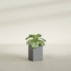 Miami Small Rectangle Fiberglass Planter - 12 in x 12 in x 18 in - Metallic Gunmetal - Metallic Gunmetal,12 in x 12 in x 18 in