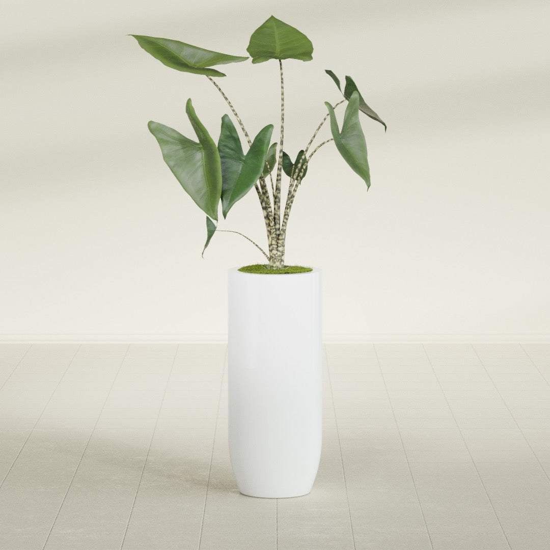Saint Tropez Large Tall Round Fiberglass Planter - 16 in x 16 in x 38 in - Matte White - Matte White,16 in x 16 in x 38 in
