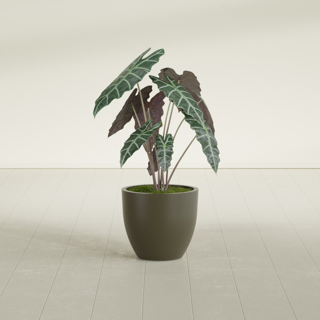 Wannsee Medium Round Fiberglass Planter - 22 in x 22 in x 19 in - Matte Bronze - Matte Bronze,22 in x 22 in x 19 in