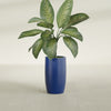 Lisbon Medium Round Fiberglass Planter - 14 in x 14 in x 25 in - Matte Cobalt Blue - Matte Cobalt Blue,14 in x 14 in x 25 in