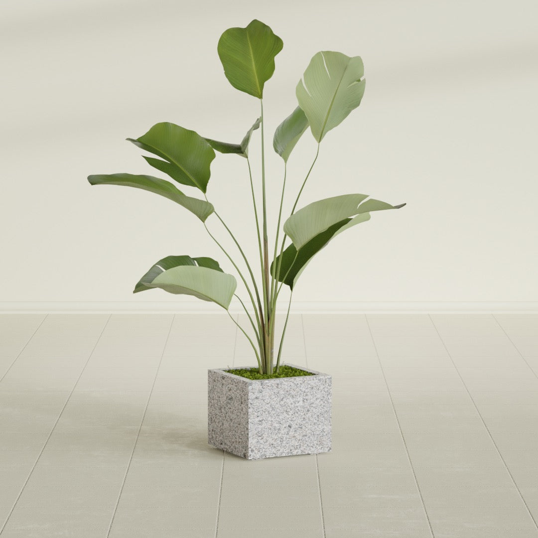 14"-Wide Rectangle - 14in x 14in x 12in - StoneLight - Greystone - StoneLight - Greystone,14 in x 14 in x 12 in