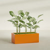 Torino Extra Large Wide Rectangle Fiberglass Planter - 48 in x 24 in x 18 in - Gloss Tangerine - Gloss Tangerine,48 in x 24 in x 18 in