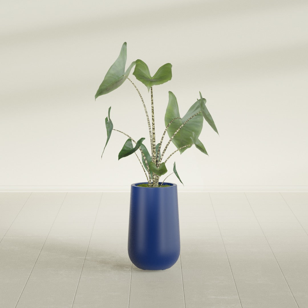 Tall Hayden Medium Round Fiberglass Planter - 18 in x 18 in x 29 in - Matte Cobalt Blue - Matte Cobalt Blue,18 in x 18 in x 29 in