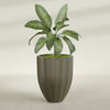 Alicante Medium Round Fiberglass Planter - 26 in x 26 in x 32 in - Matte Bronze - Matte Bronze,26 in x 26 in x 32 in