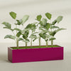 Torino Extra Large Wide Rectangle Fiberglass Planter - 72 in x 24 in x 18 in - Gloss Eggplant - Gloss Eggplant,72 in x 24 in x 18 in
