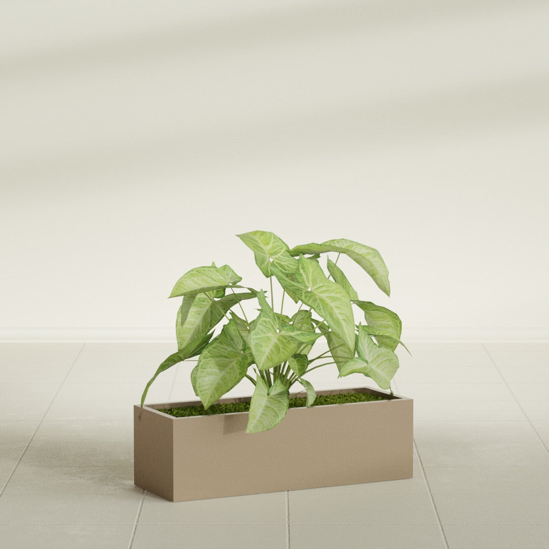 Reade Small Tabletop Rectangle Fiberglass Planter - 14 in x 5 in x 4.3 in - Metallic Gold - Metallic Gold,14 in x 5 in x 4.3 in