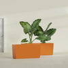 Panama Large Long Rectangle Fiberglass Planter - 36 in x 12 in x 18 in - Gloss Tangerine - Gloss Tangerine,36 in x 12 in x 18 in