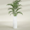 Corry Large Tall Cylinder Fiberglass Planter - 12 in x 12 in x 36 in - Matte White - Matte White,30 in x 30 in x 32 in