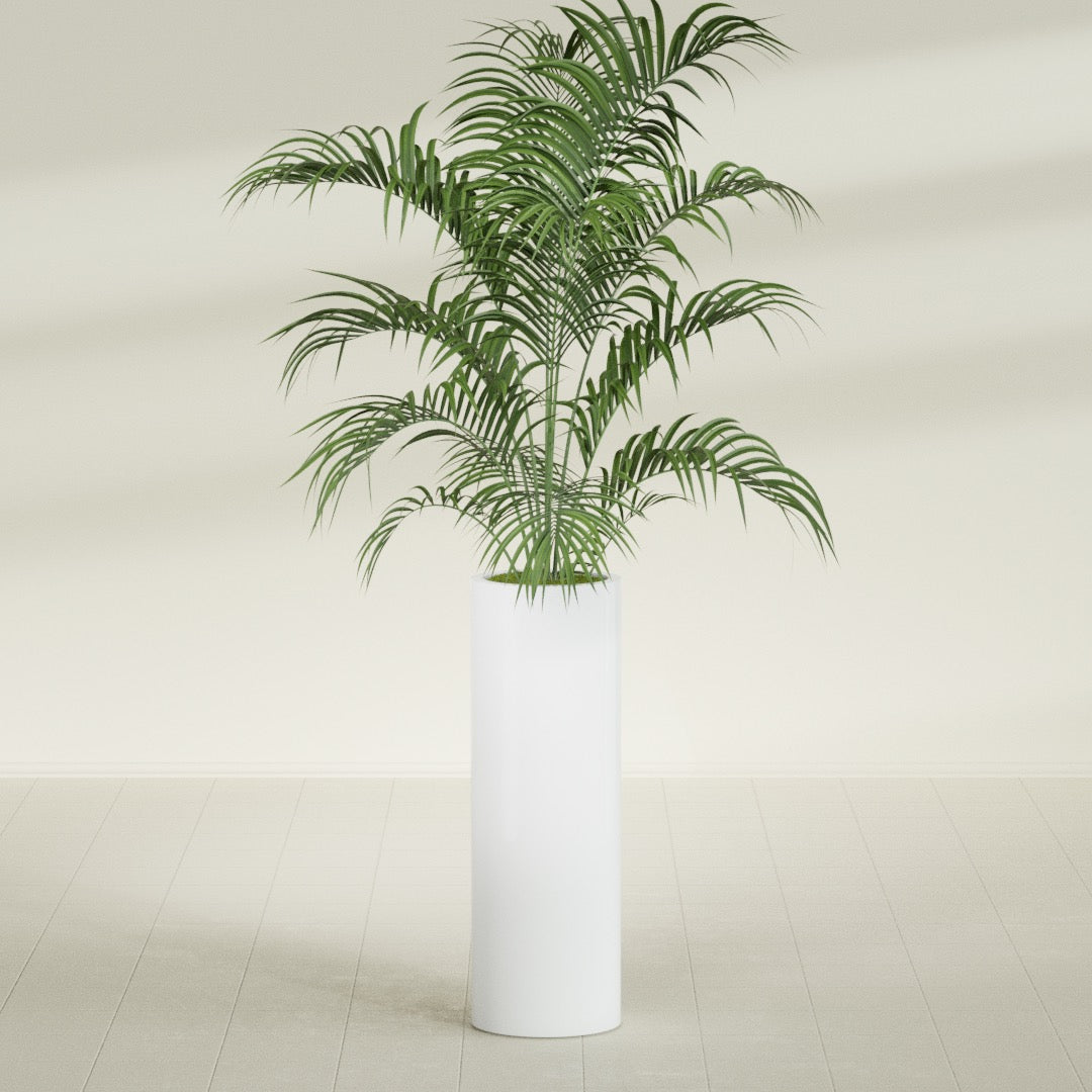 Corry Large Tall Cylinder Fiberglass Planter - 12 in x 12 in x 36 in - Matte White - Matte White,30 in x 30 in x 32 in