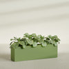 Miami Extra Large Narrow Rectangle Fiberglass Planter - 60 in x 12 in x 18 in - Satin Green - Satin Green,60 in x 12 in x 18 in