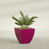 Lima Medium Tapered Square Fiberglass Planter - 24 in x 24 in x 24 in - Gloss Eggplant - Gloss Eggplant,24 in x 24 in x 24 in