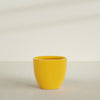 Wannsee Large Round Fiberglass Planter - 39 in x 39 in x 34 in - Gloss Saffron - Gloss Saffron,39 in x 39 in x 34 in