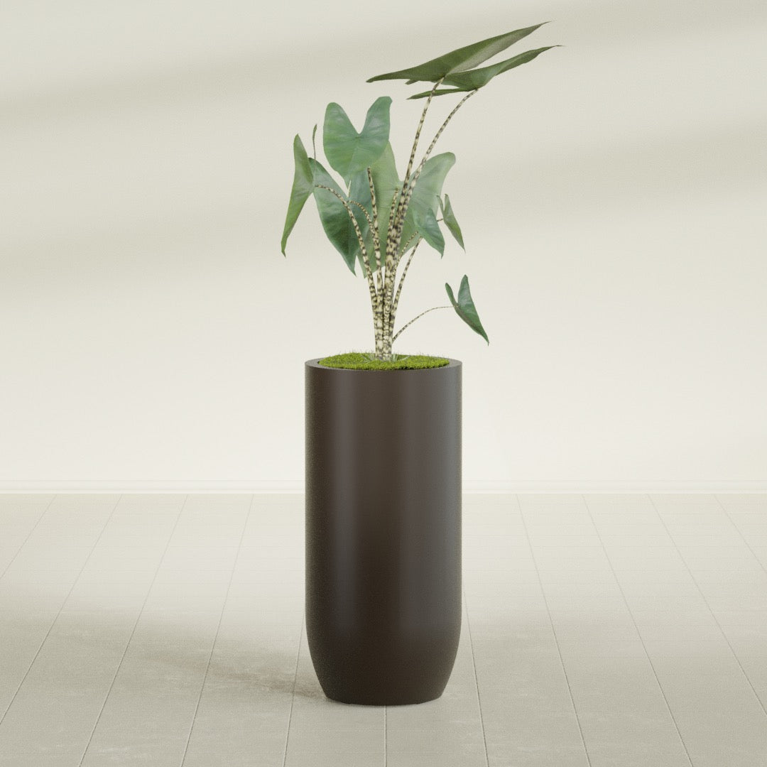 Saint Tropez Large Tall Round Fiberglass Planter - 20 in x 20 in x 43 in - Matte Brown - Matte Brown,20 in x 20 in x 43 in