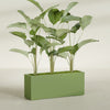 Tolga Extra Large Long Rectangle Fiberglass Planter - 60 in x 16 in x 24 in - Satin Green - Satin Green,60 in x 16 in x 24 in