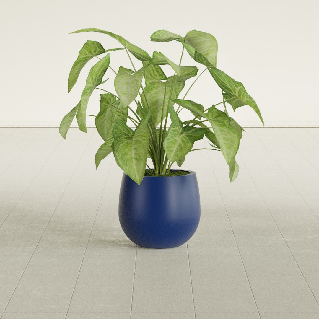 Westfield - 10in diam. x 9in - Matte Cobalt Blue - Matte Cobalt Blue,10 in diam. x 9 in H