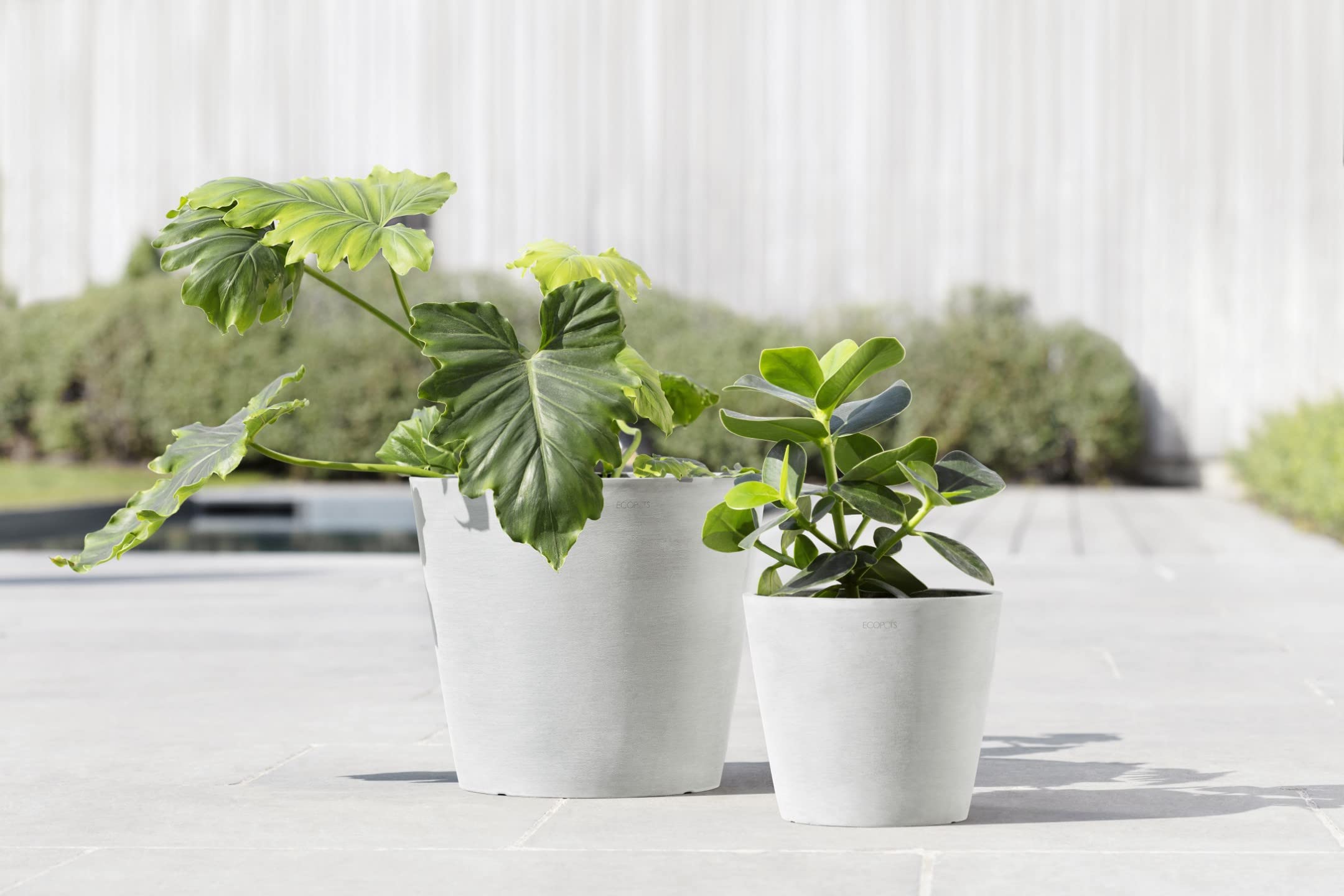 Amsterdam Small Round Planter - 11.8 in x 11.8 in x 10.5 in - Pure White - Pure White,11.75 in x 11.75 in x 10.5 in,Planter Only