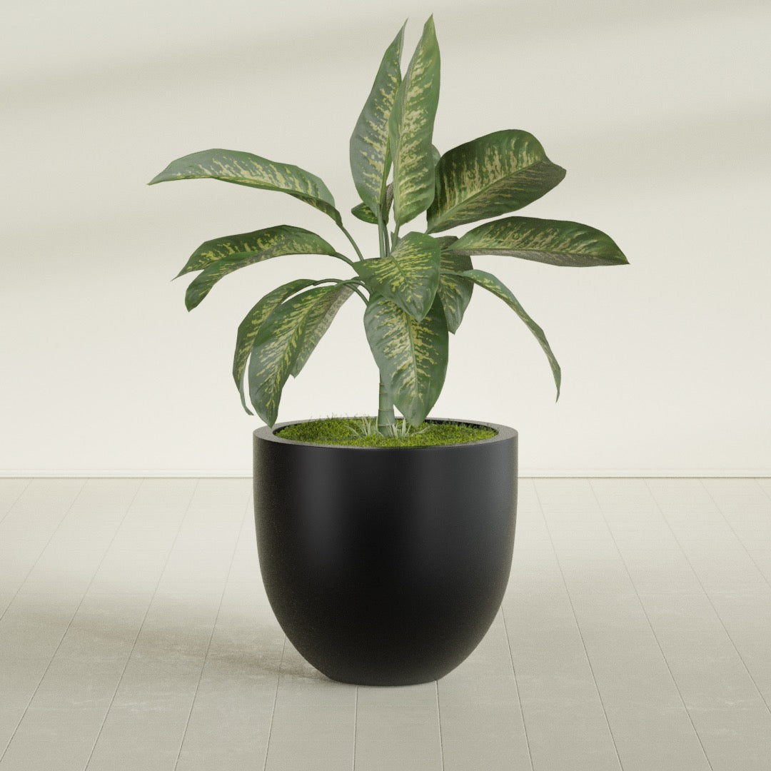 Alzira Large Round Fiberglass Planter - 30 in x 30 in x 28 in - Matte Black - Matte Black,30 in x 30 in x 28 in
