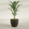 Wannsee Large Round Fiberglass Planter - 33 in x 33 in x 29 in - Matte Brown - Matte Brown,33 in x 33 in x 29 in