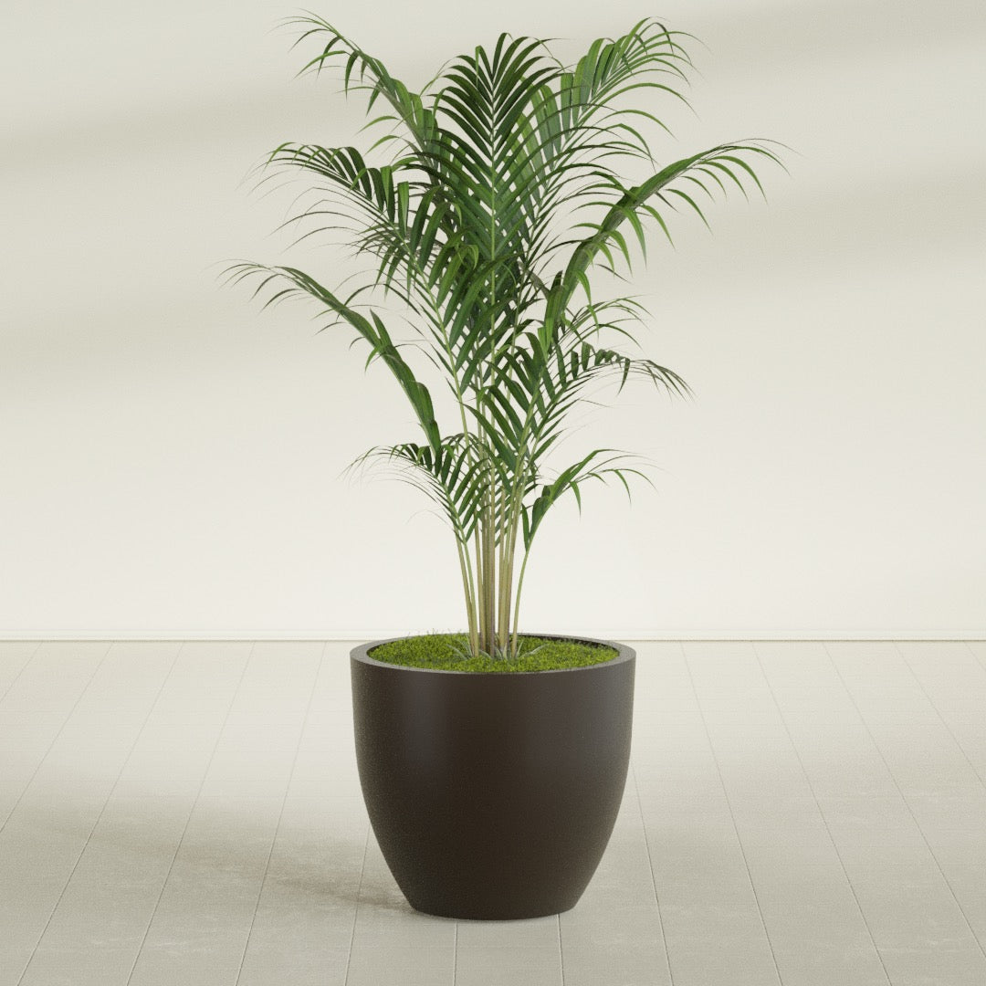 Wannsee Large Round Fiberglass Planter - 33 in x 33 in x 29 in - Matte Brown - Matte Brown,33 in x 33 in x 29 in