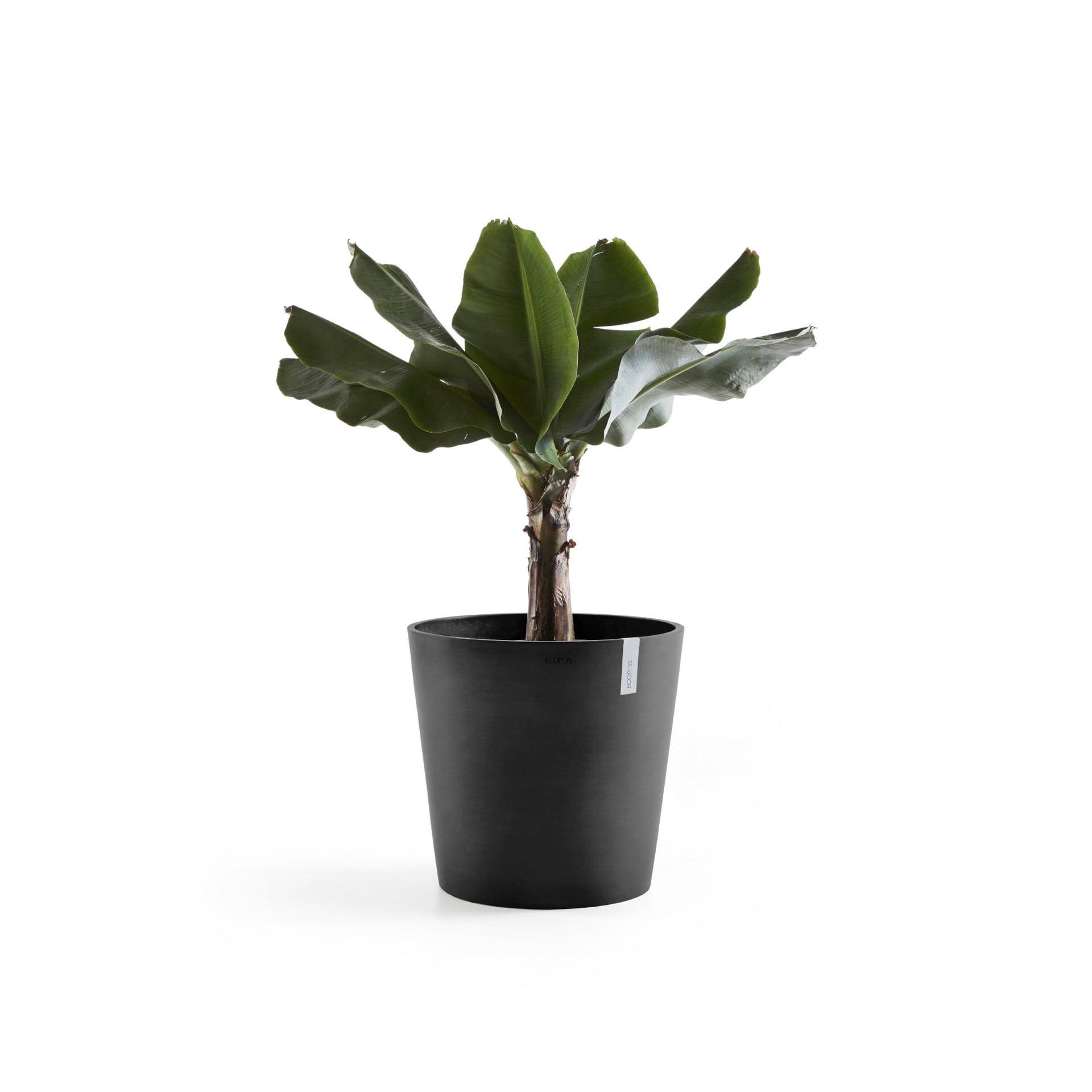 Amsterdam Medium Round Planter - 27.5 in x 27.5 in x 24 in - Dark Grey - Dark Grey,27.5 in x 27.5 in x 24 in,Planter Only