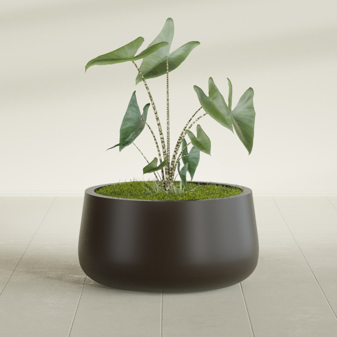 Short Hayden Medium Round Fiberglass Planter - 20 in x 20 in x 10 in - Matte Brown - Matte Brown,20 in x 20 in x 10 in