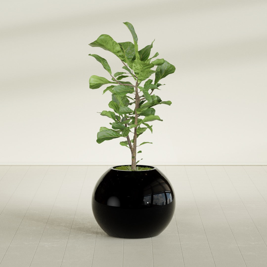 Globe Medium Sphere Fiberglass Planter - 24 in x 24 in x 19 in - Gloss Black - Gloss Black,24 in x 24 in x 20 in