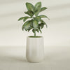 Tall Hayden Medium Round Fiberglass Planter - 15 in x 15 in x 23 in - Satin Beige - Satin Beige,15 in x 15 in x 23 in