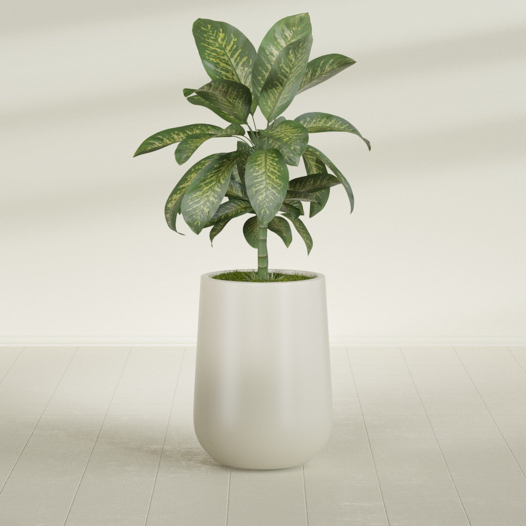 Tall Hayden Medium Round Fiberglass Planter - 15 in x 15 in x 23 in - Satin Beige - Satin Beige,15 in x 15 in x 23 in