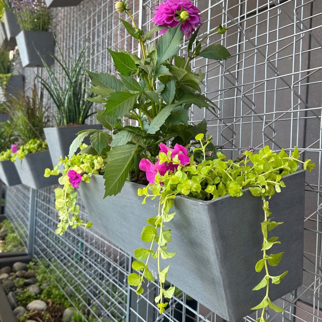 Manhattan Wall - 6in x 6.8in x 6in