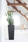 Rotterdam Medium Tall Square Planter - 12.25 in x 12.25 in x 22 in - Dark Grey - Dark Grey,12.25 in x 12.25 in x 22 in,Planter Only