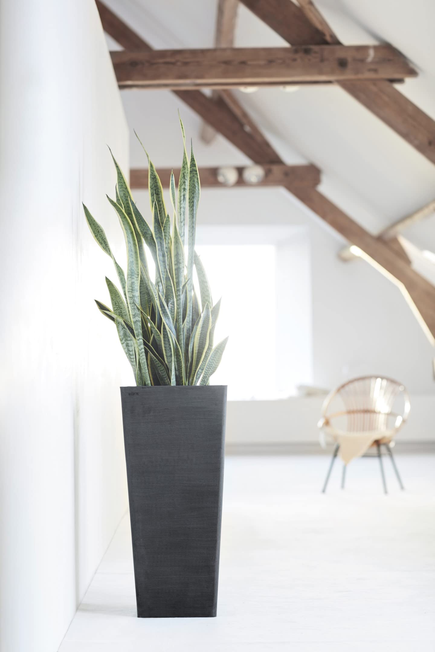 Rotterdam Medium Tall Square Planter - 12.25 in x 12.25 in x 22 in - Dark Grey - Dark Grey,12.25 in x 12.25 in x 22 in,Planter Only