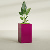 Darwin Large Tall Rectangle Fiberglass Planter - 24 in x 24 in x 42 in - Gloss Eggplant - Gloss Eggplant,24 in x 24 in x 42 in