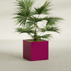 Montroy Medium Cube Square Fiberglass Planter - 28 in x 28 in x 28 in - Gloss Eggplant - Gloss Eggplant,28 in x 28 in x 28 in