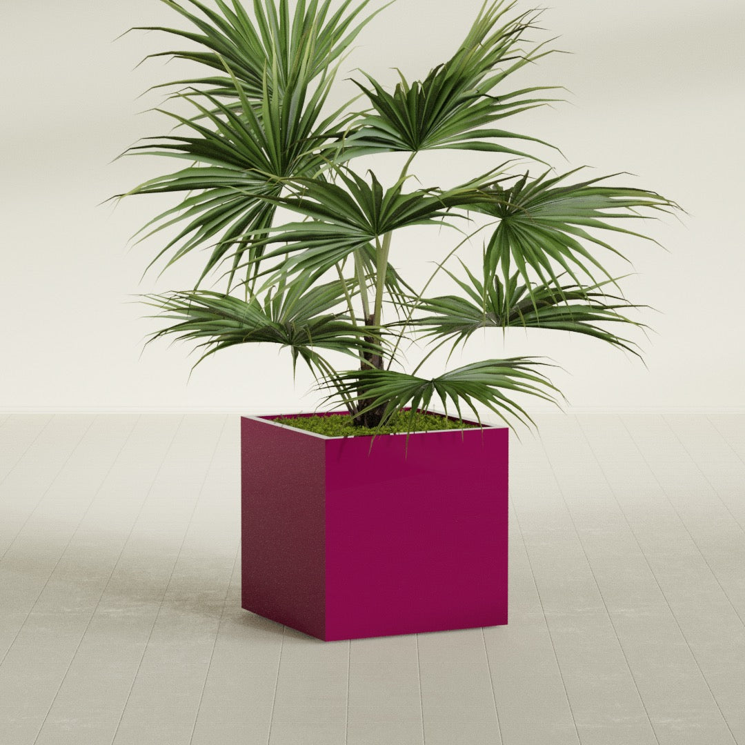 Montroy Medium Cube Square Fiberglass Planter - 28 in x 28 in x 28 in - Gloss Eggplant - Gloss Eggplant,28 in x 28 in x 28 in